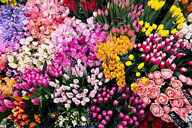 《马里奥赛车8豪华版》赛道通行证第三弹赛道上线